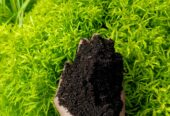 Eco graw කාබනික පොහොර
