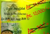 වසුන් පොලිතින් (Mulch Polithene )