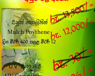 WhatsApp-Image-2025-01-09-at-8.51.29-AM-1